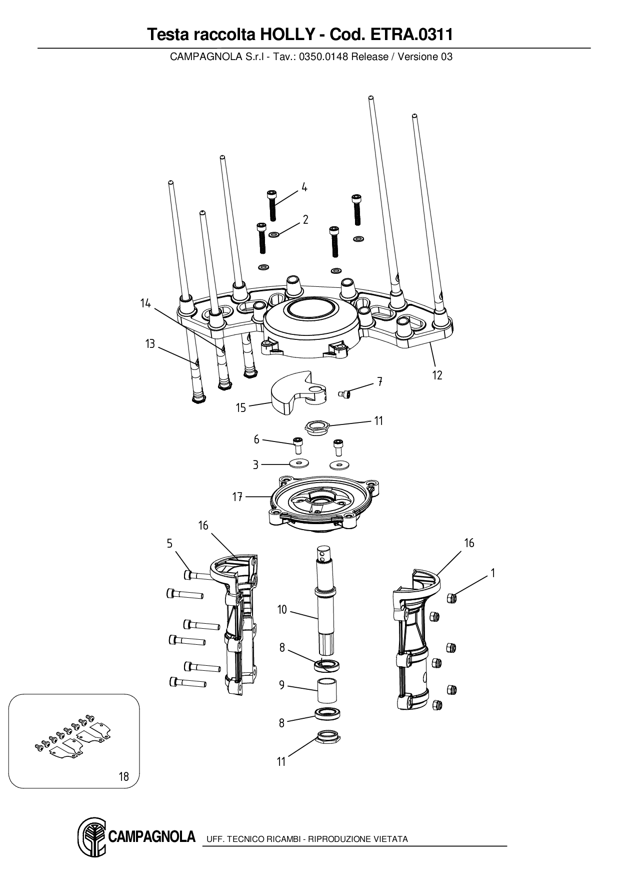 ETRA.0311_Testa raccolta HOLLY